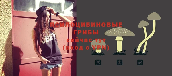 ГАЛЛЮЦИНОГЕННЫЕ ГРИБЫ Верхний Тагил