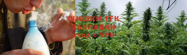 ГАЛЛЮЦИНОГЕННЫЕ ГРИБЫ Верхний Тагил